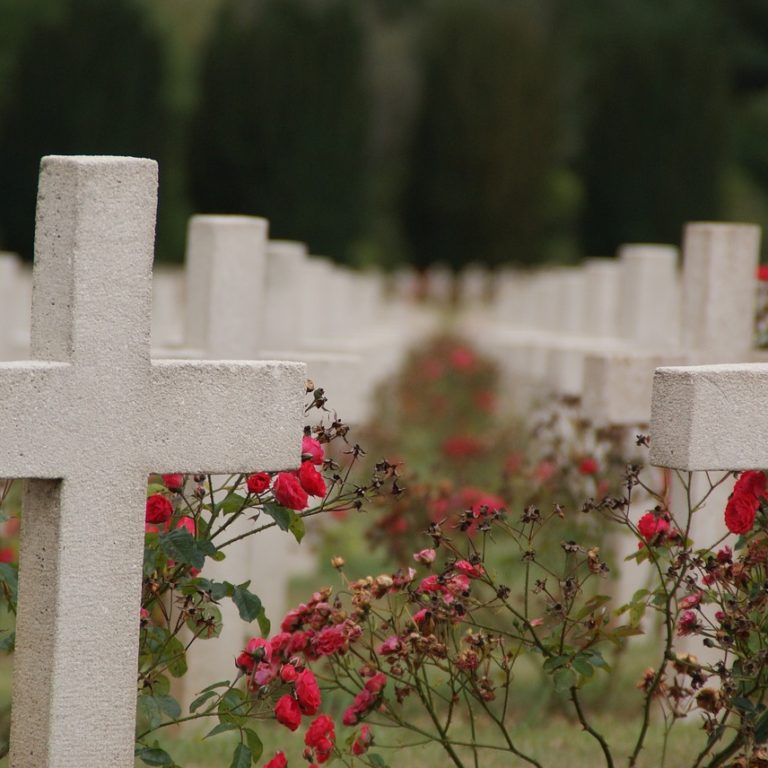 pixabay-verdun-2372476_1280