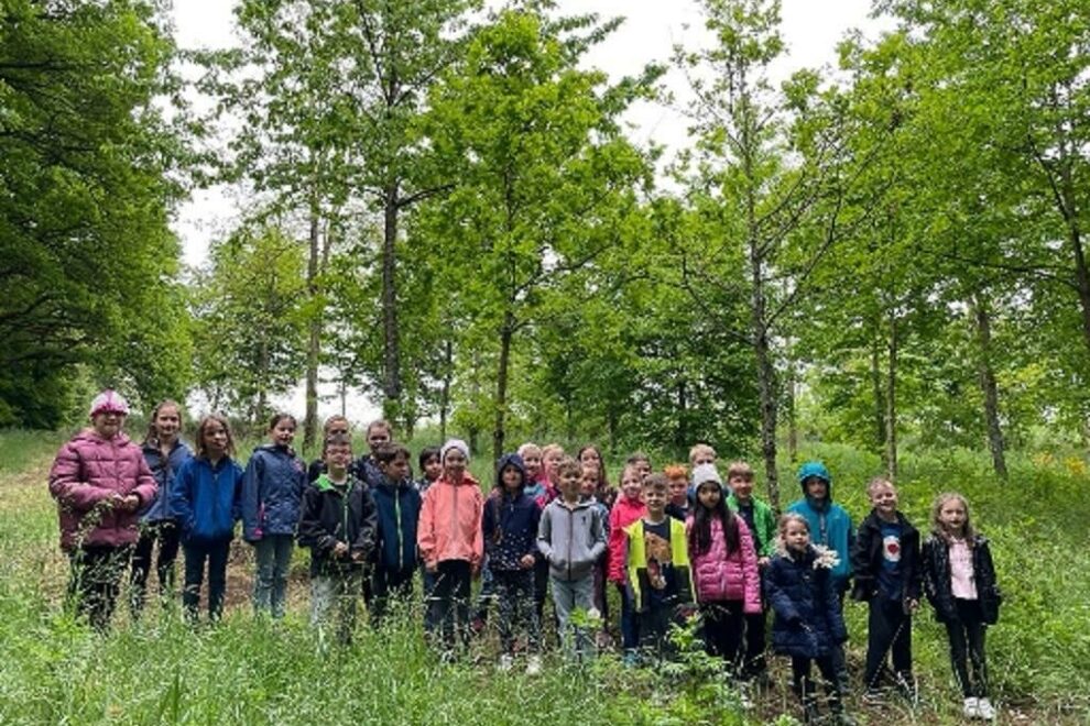 00000000000037077381-OL-729-2023-23-23-0-olinfo-0