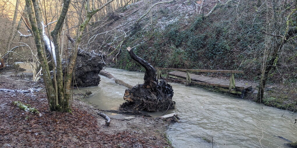 PXL_20250111_132238659 Brücke weggeschwemmt