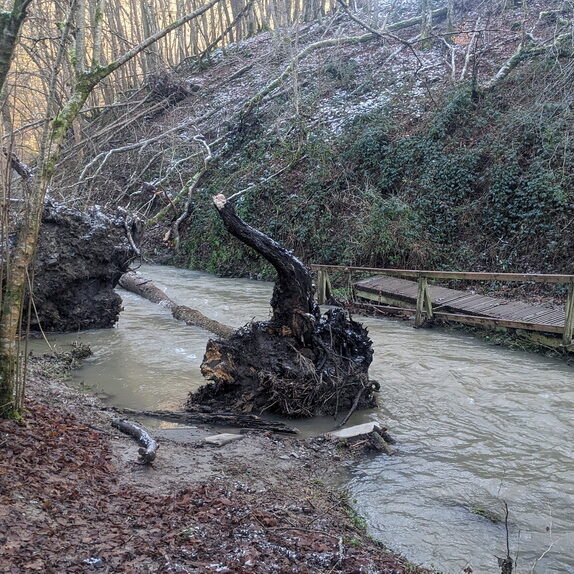 PXL_20250111_132238659 Brücke weggeschwemmt